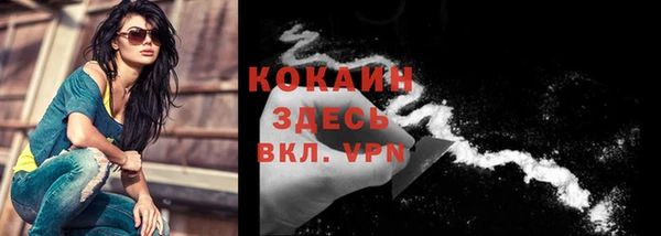 винт Вяземский