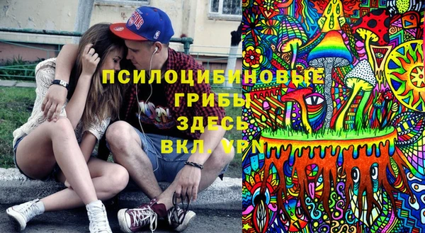 винт Вяземский