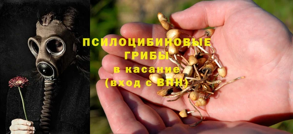 альфа пвп Липки