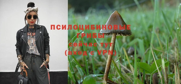 винт Вяземский